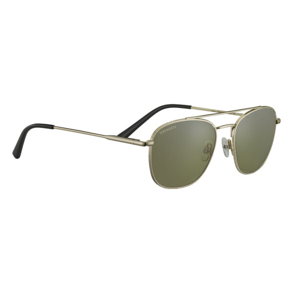 Carrol - Shiny Light Gold Non-Polarized 555nm®️ - Image 3