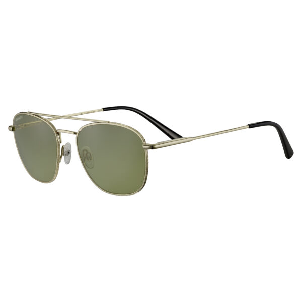 Carrol - Shiny Light Gold Non-Polarized 555nm®️