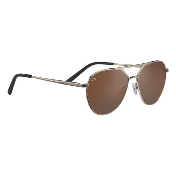 Odell - Shiny Light Gold Saturn Polarized Drivers®️ - Image 3