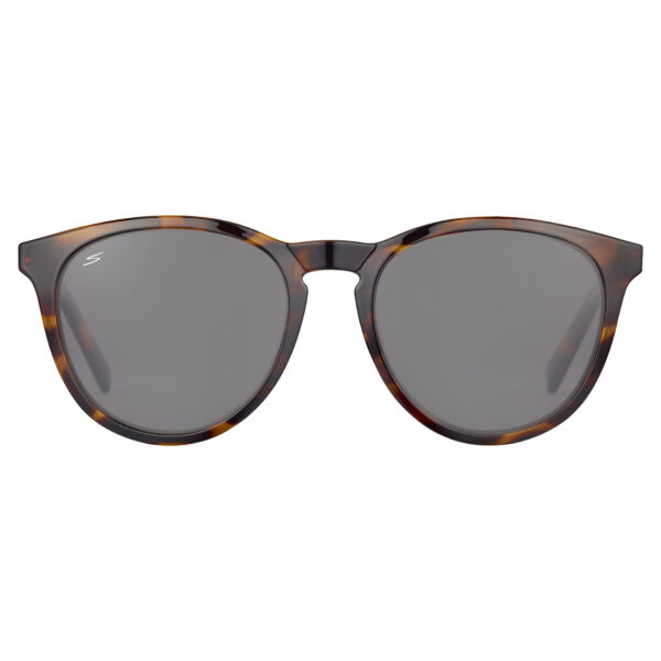 Brawley - Shiny Classic Tortoise Saturn Polarized Smoke - Image 5
